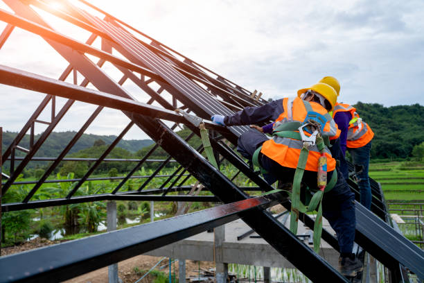 Gutter Installation and Roofing in Lakeland North, WA