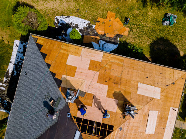 Tile Roofing Contractor in Lakeland North, WA